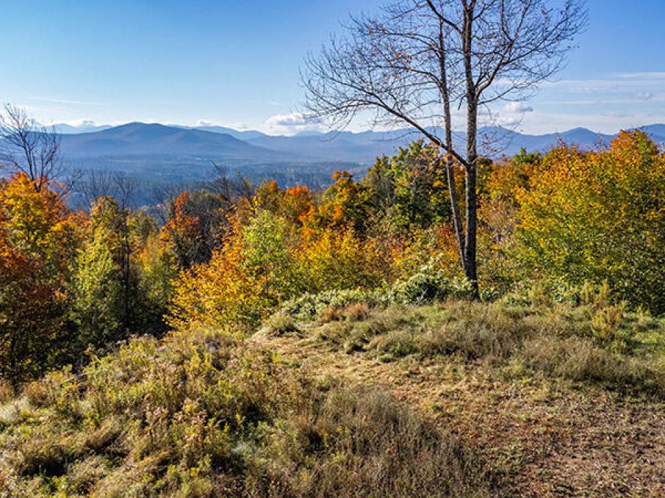 Lot1516OnPanorama