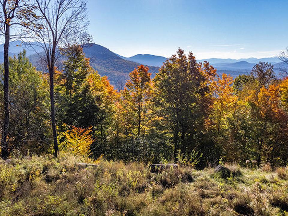 Lot1516OnPanorama_Fall_UpperLot_Rocks_Mo