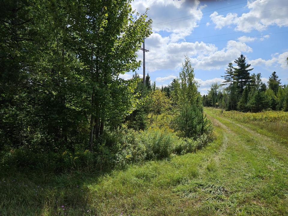 West side Lot 21 and new road to be buil West side Lot 21 and new road to be buil