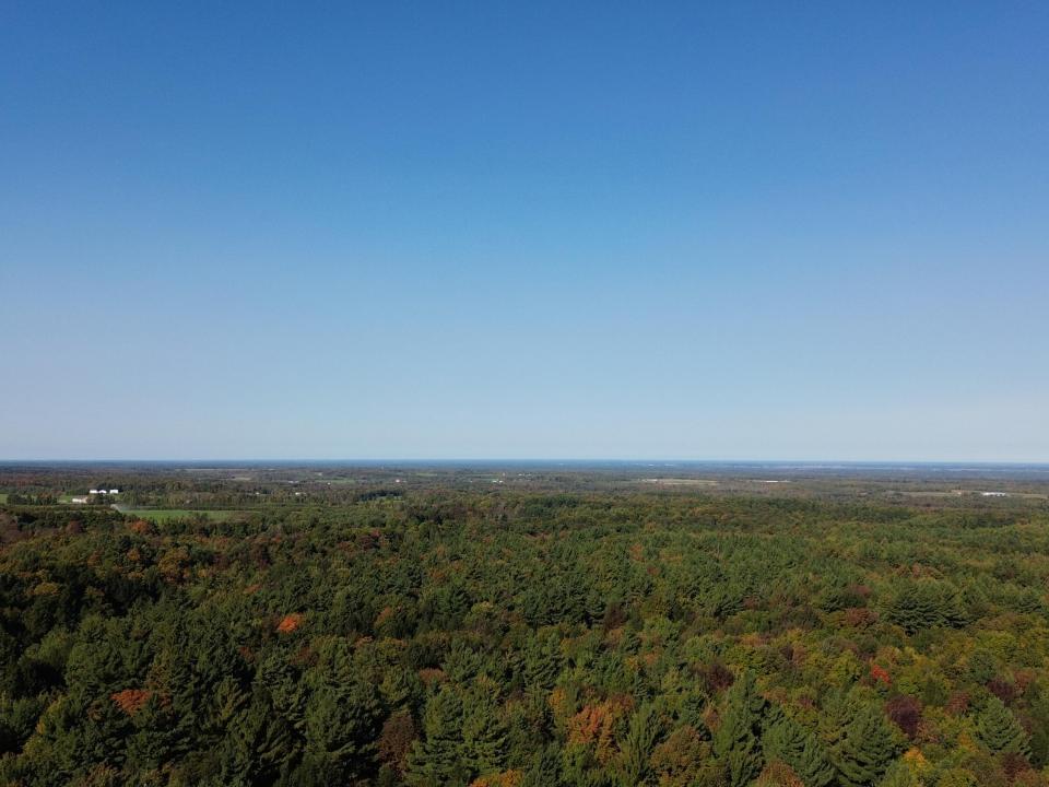 DJI_0345