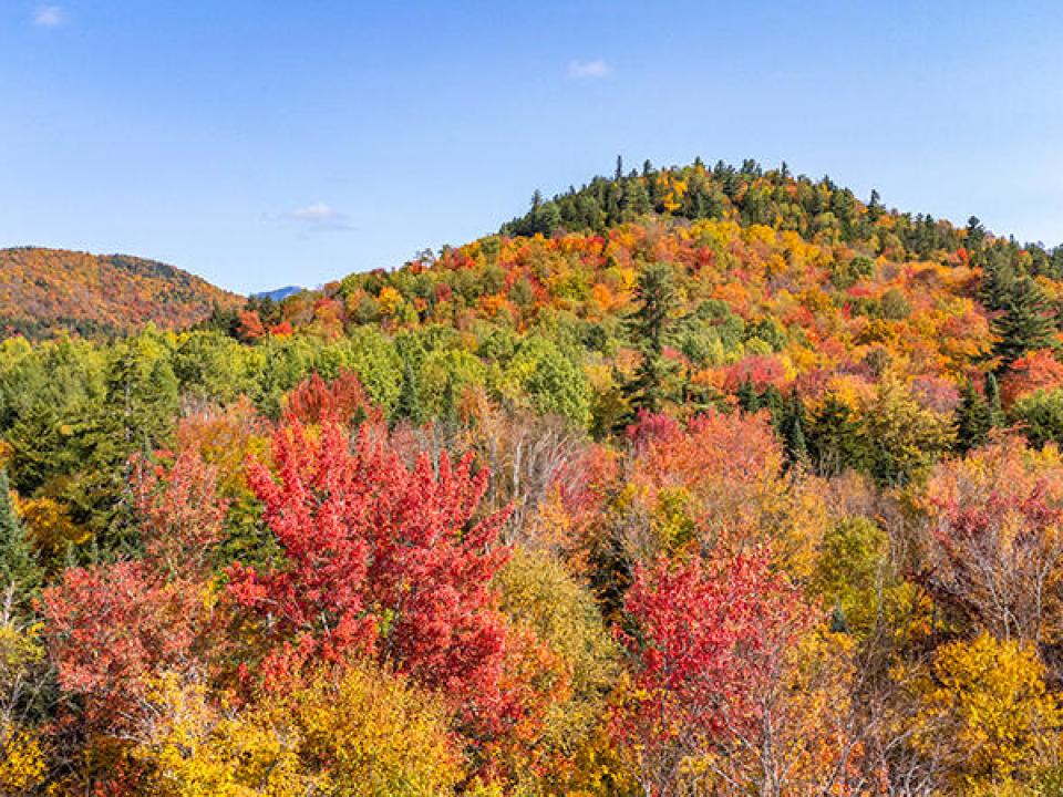 LakePlacidHomeOnCobbleHillRoad_A_CobbleM