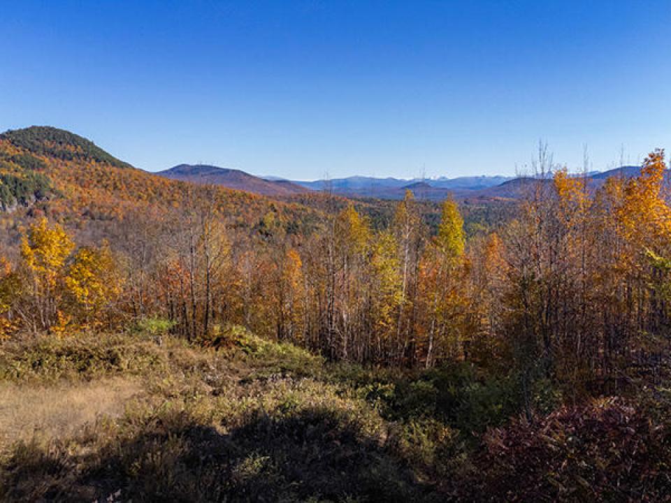 Lot3OnPanoramaInSaranacLake_A_Lot Lot3OnPanoramaInSaranacLake_A_Lot
