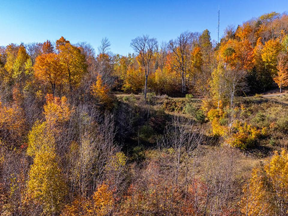 Lot3OnPanoramaInSaranacLake_A_Lot_Back