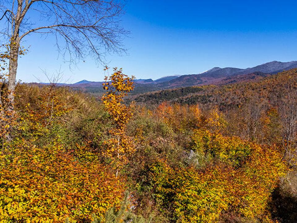 Lot3OnPanoramaInSaranacLake_A_Lot_Low_L