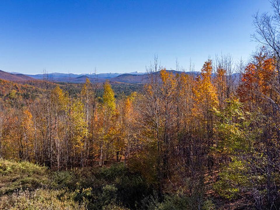 Lot3OnPanoramaInSaranacLake_A_Lot_Low_R