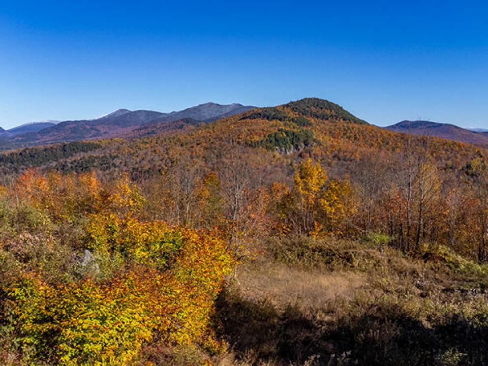 Lot3OnPanoramaInSaranacLake_A_Lot_Mounta