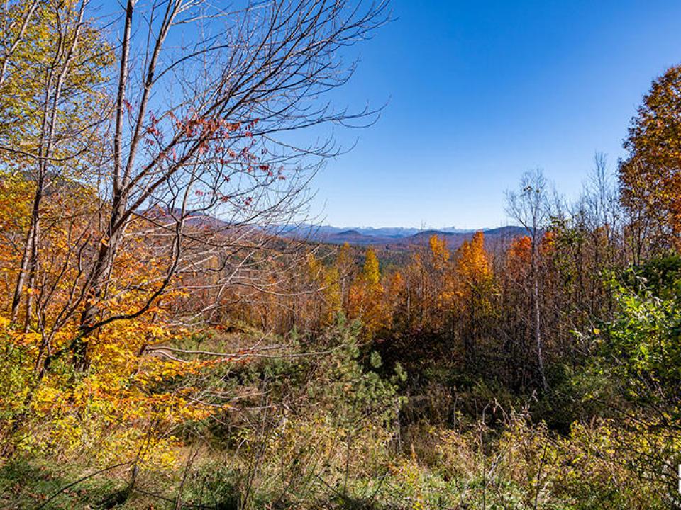 Lot3OnPanoramaInSaranacLake_Lot_L