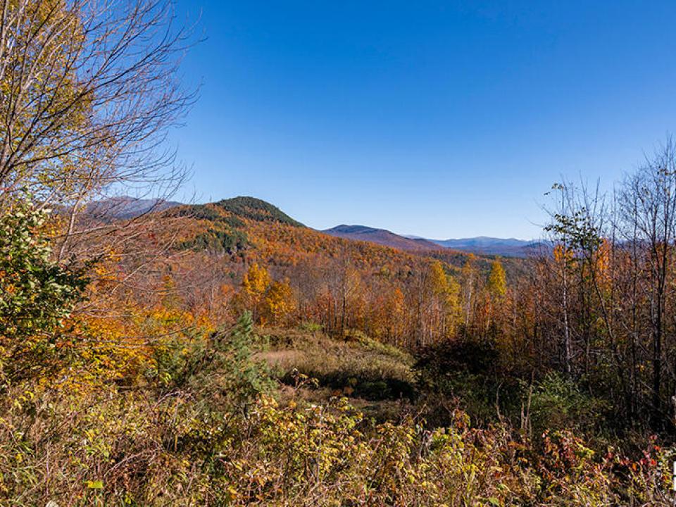 Lot3OnPanoramaInSaranacLake_Lot_LM