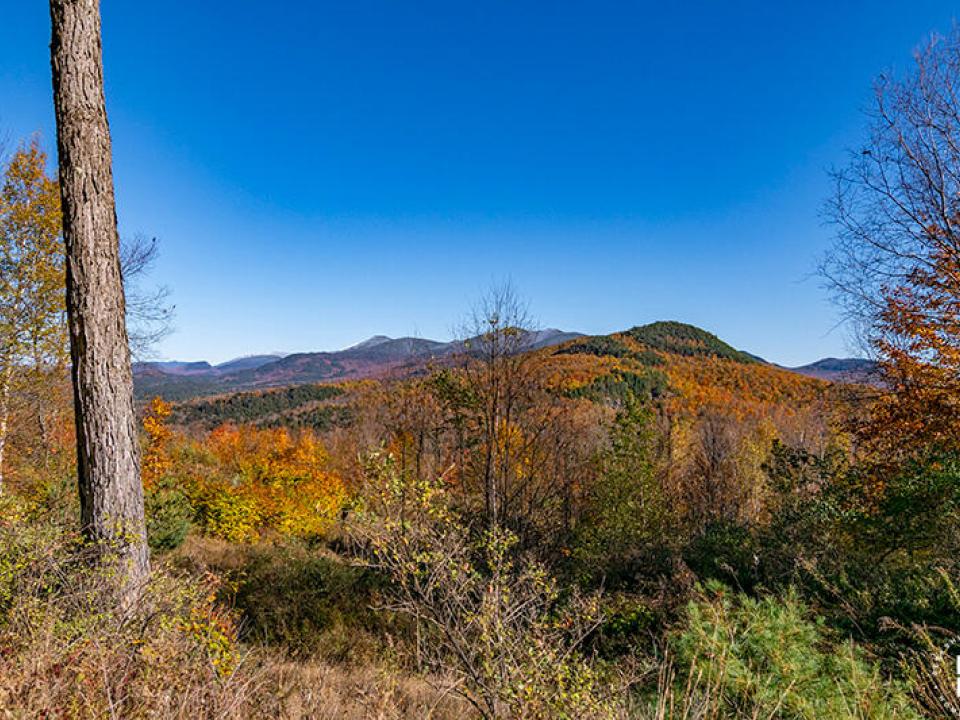 Lot3OnPanoramaInSaranacLake_Lot_RM