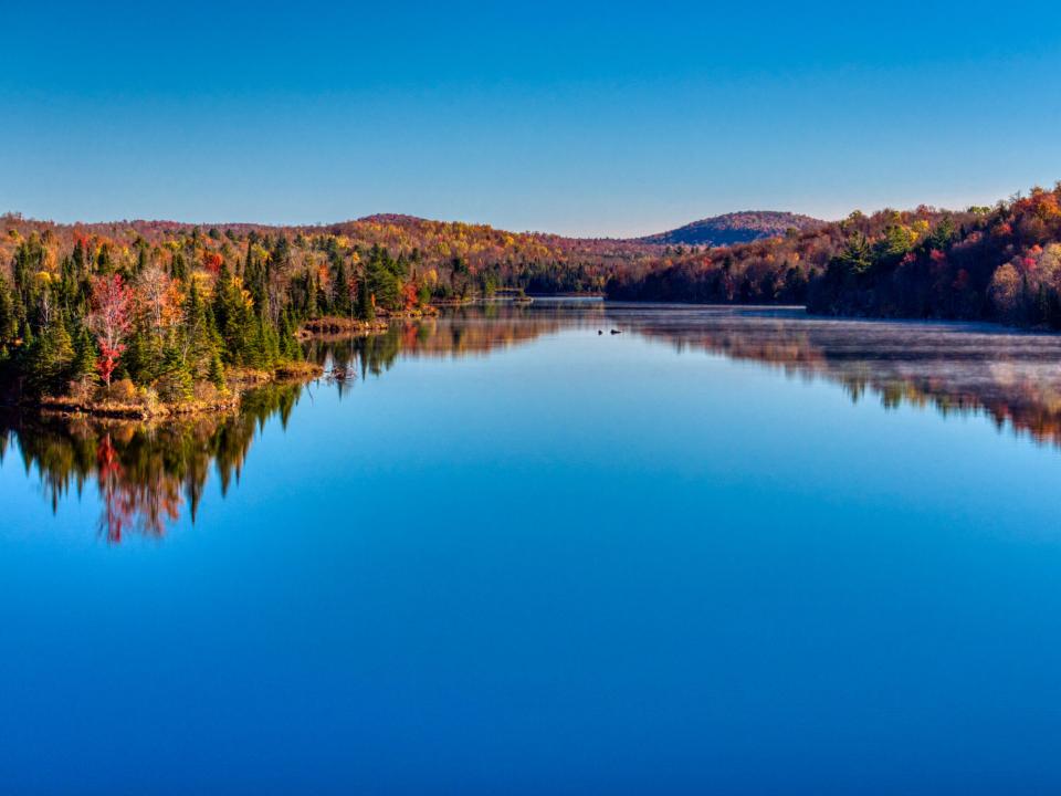 DJI_20241018094333_0272_D