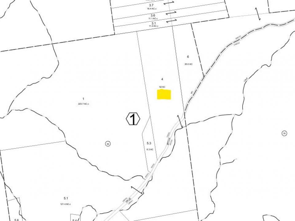 Tax Map of True Brook