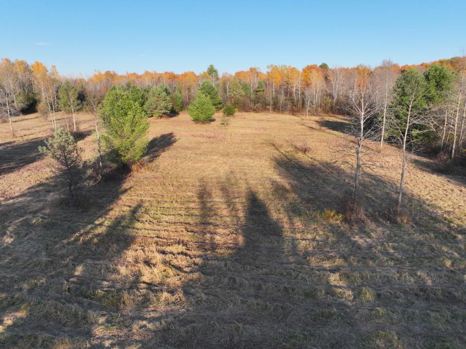 Haynes Road (10)