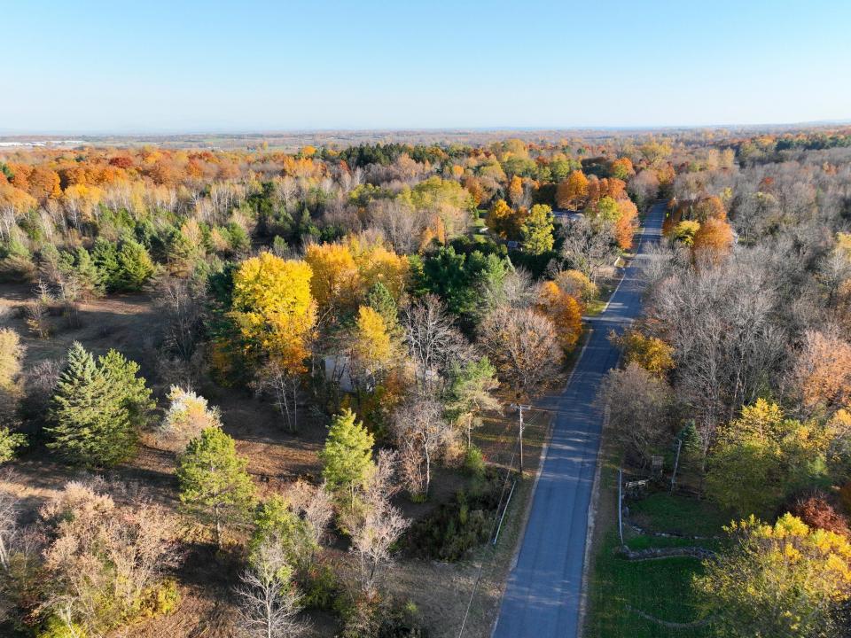 Haynes Road (15)