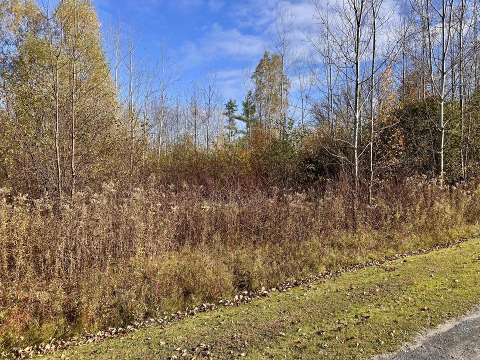 0 Salmon River Road(1)