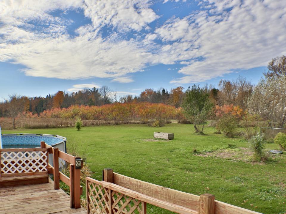 Deck & Pool