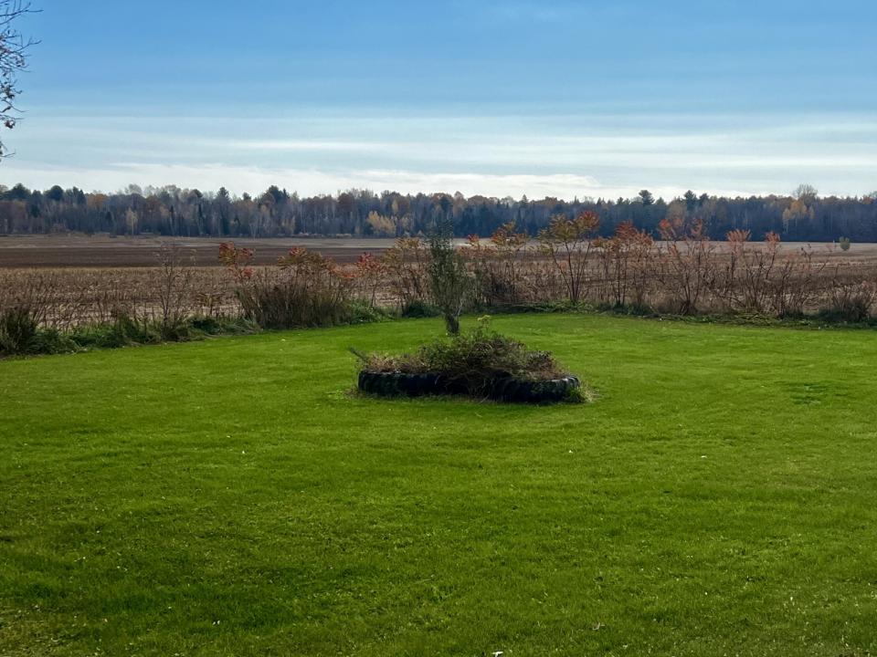 Yard