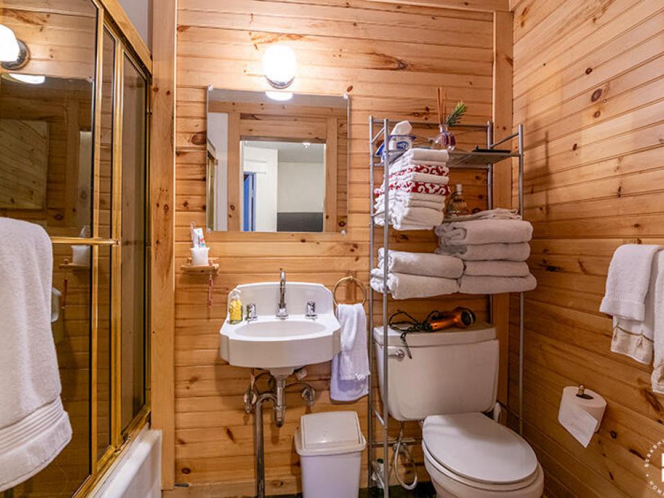ApartmentBuildingOnSaranacAve_Bathroom_U