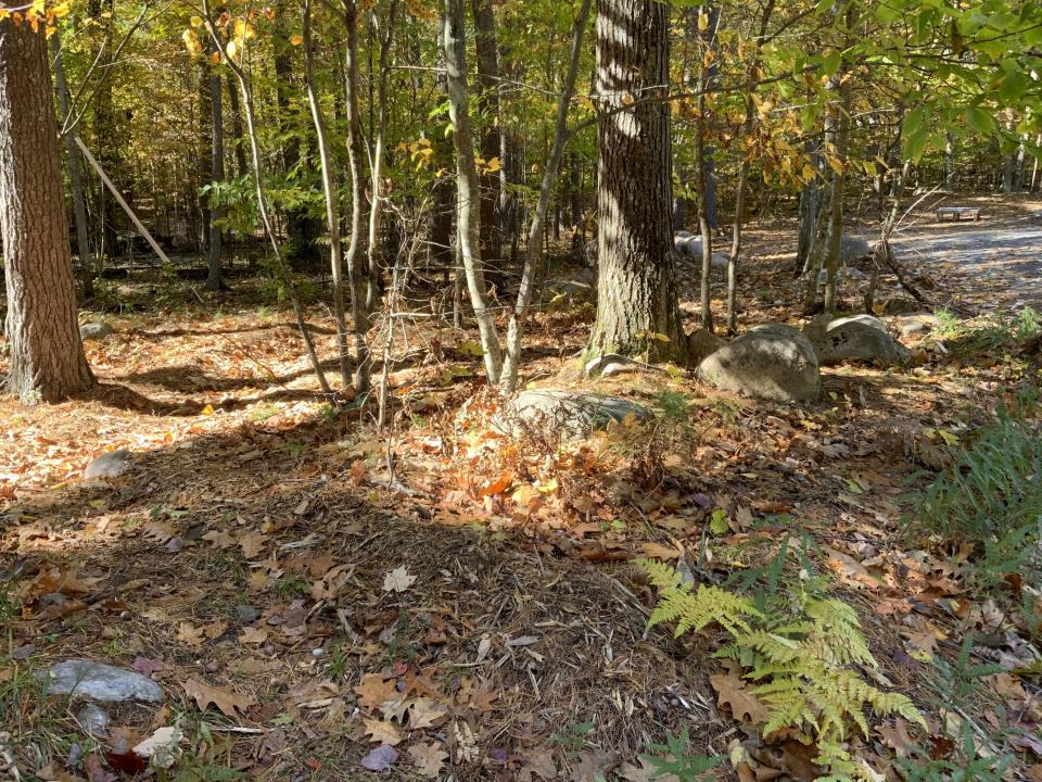 IMG_3735