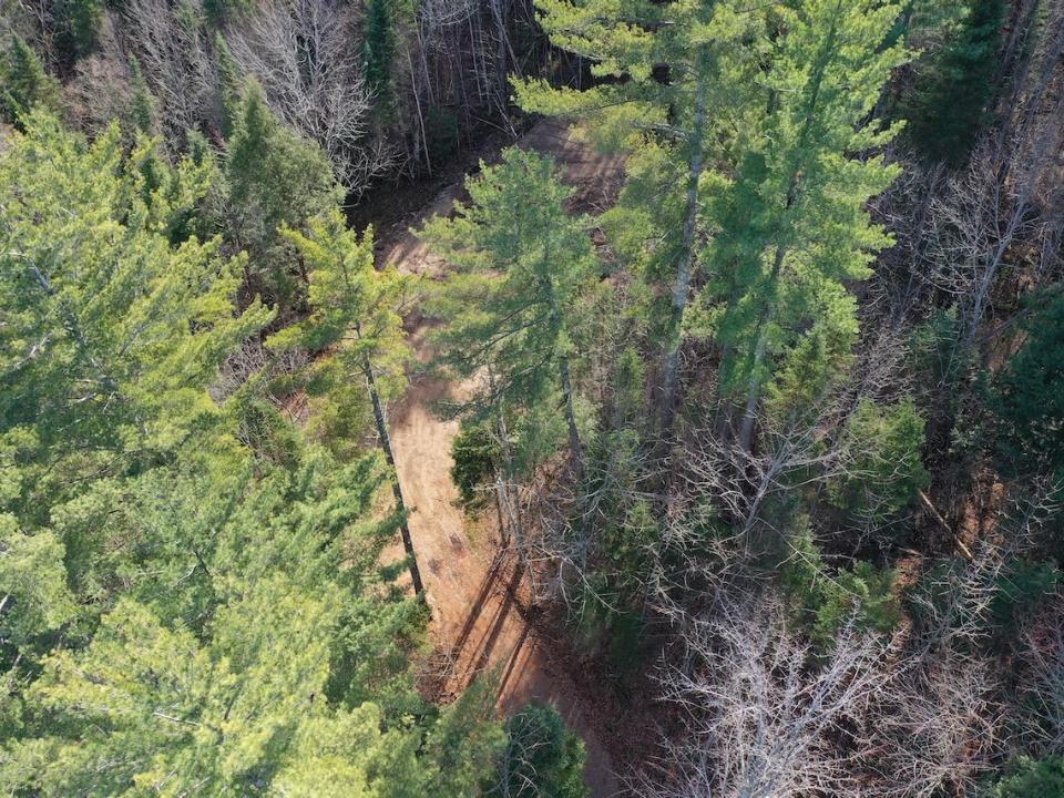 org_db549c964d04457e_1730657446000