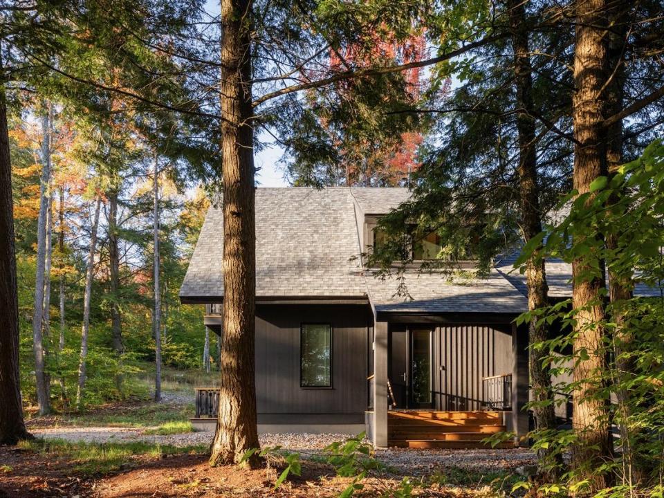 Bearvalley - 119
