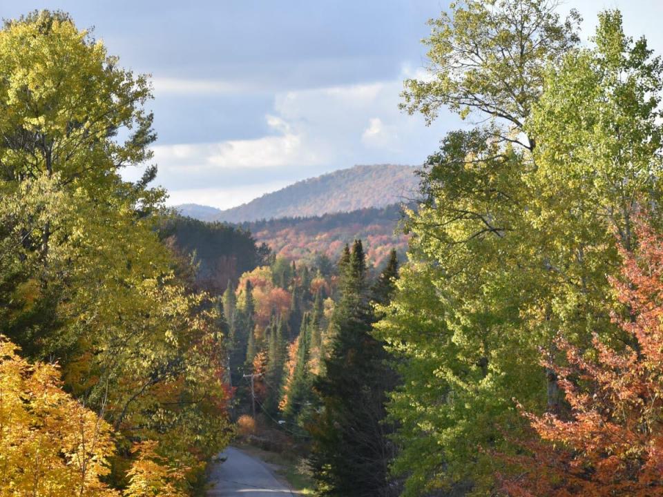 smallDSC_0027 cropped