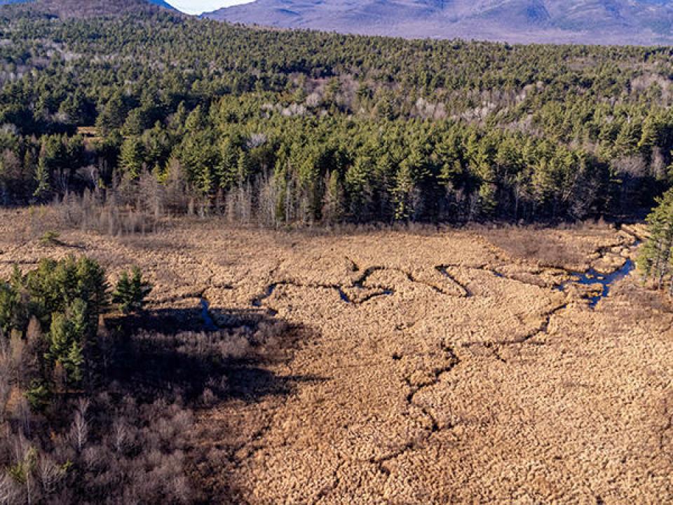 CampBeaverCreekInWilmington_A_Creek_Back