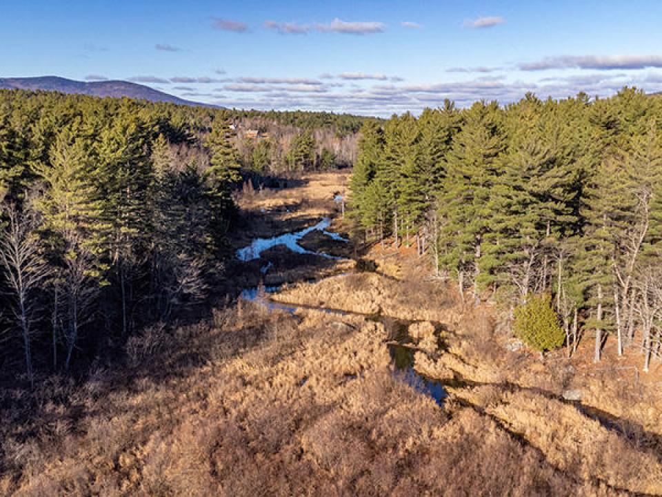 CampBeaverCreekInWilmington_A_Creek_Tree