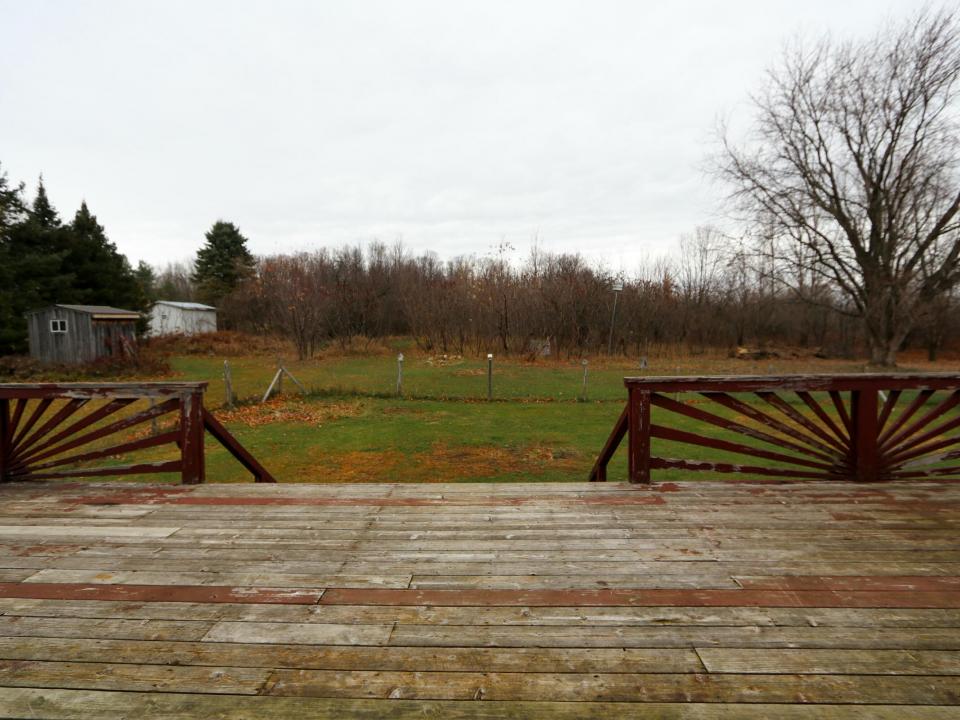 Deck & Backyard