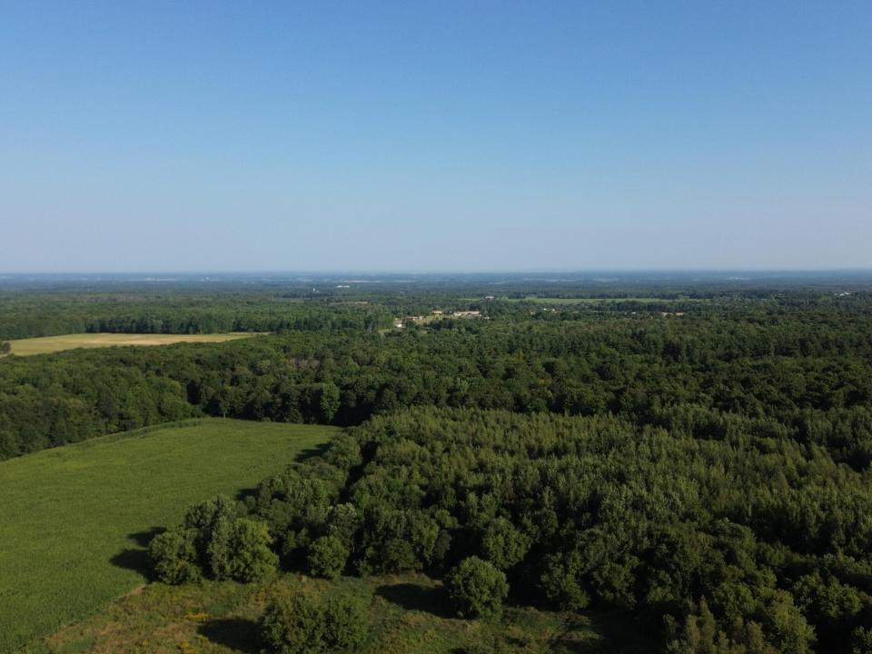 DJI_0519