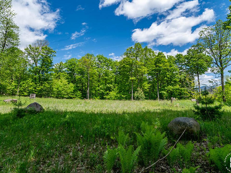Lot33OnMtPisgahParkWay_Lot_R Lot33OnMtPisgahParkWay_Lot_R