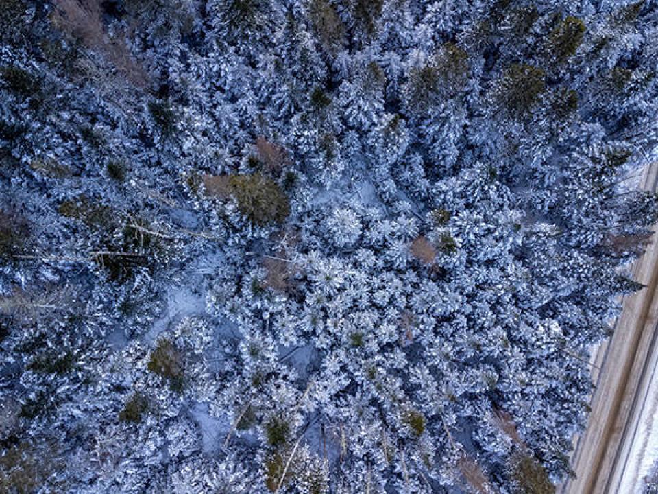 RiverRoadLotInLakePlacid_A_Above