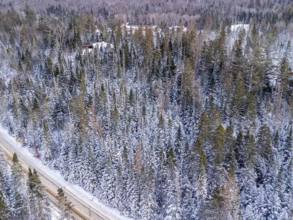 RiverRoadLotInLakePlacid_A_Lot