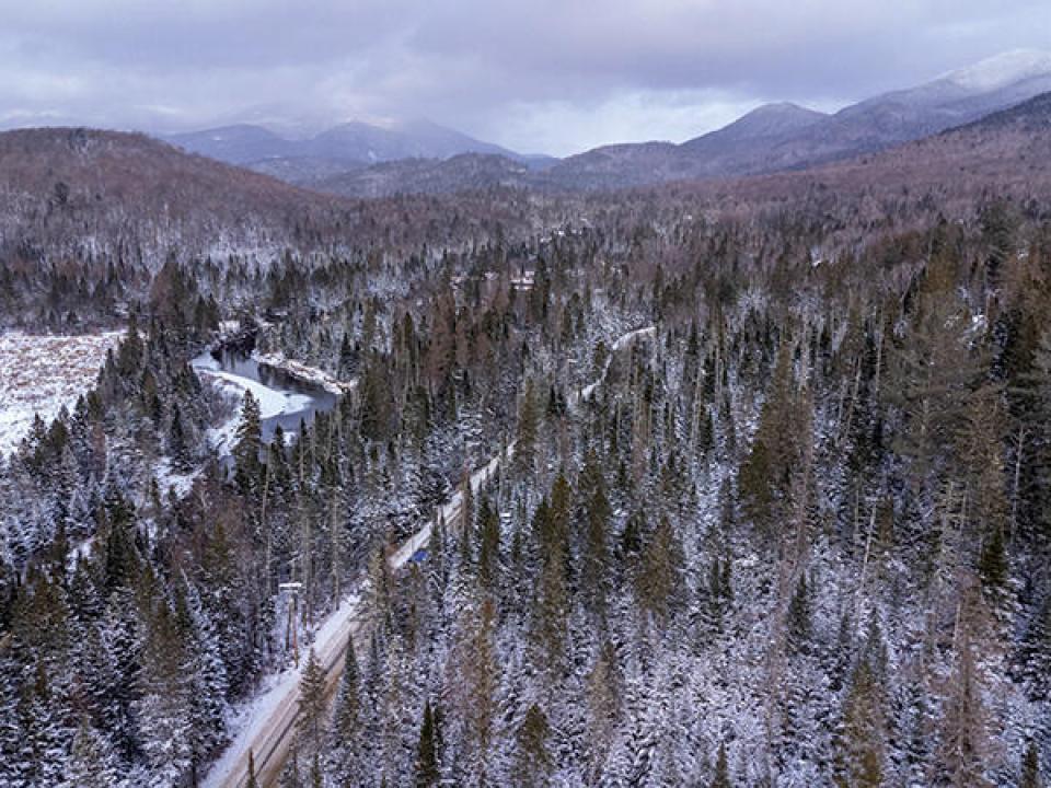 RiverRoadLotInLakePlacid_A_Lot_Back