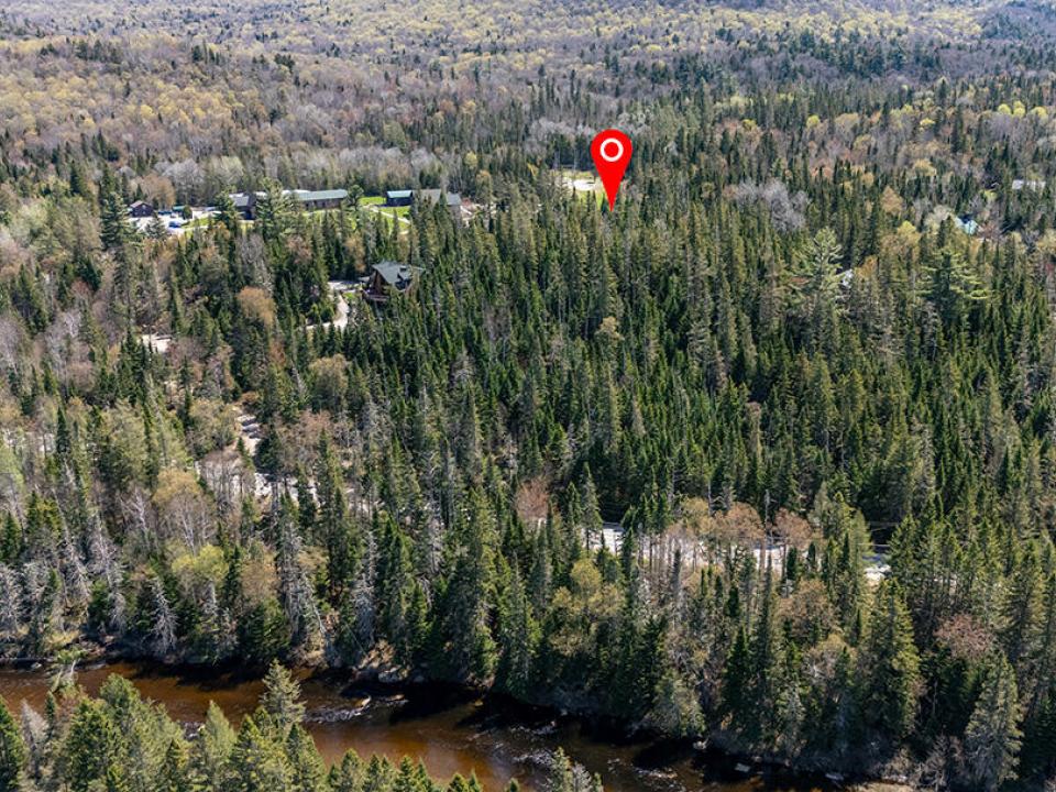 LotOnRiverRdInLakePlacid_Spring_A_Lot_Ac