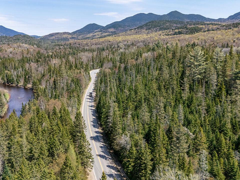 LotOnRiverRdInLakePlacid_Spring_A_Lot_Ro