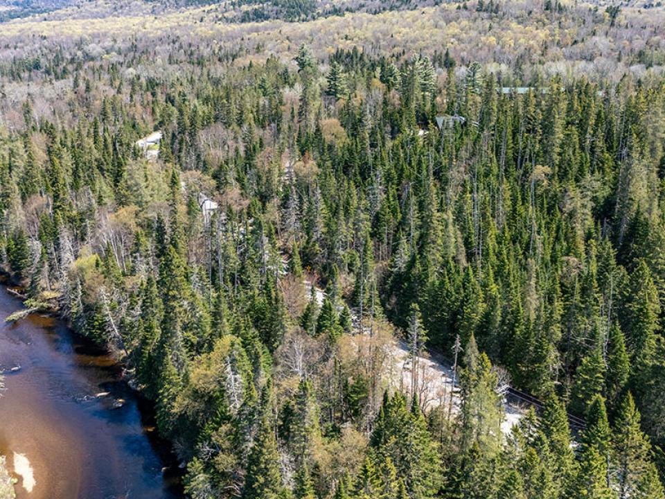 LotOnRiverRdInLakePlacid_Spring_A_Lot LotOnRiverRdInLakePlacid_Spring_A_Lot