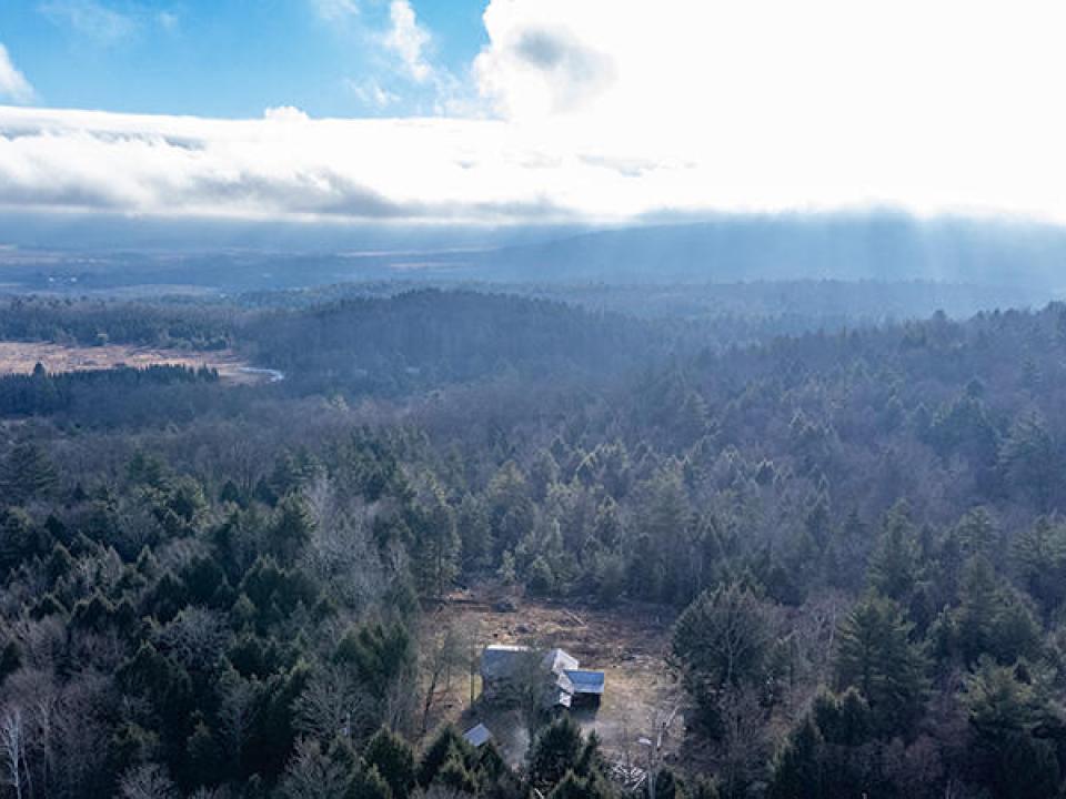 EssexHomeNestledInTheWoods_A_Property_Fr