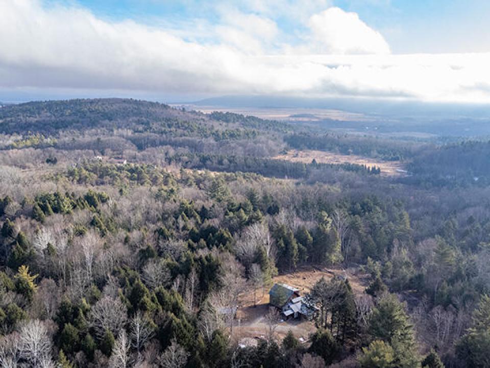 EssexHomeNestledInTheWoods_A_Property_Fr