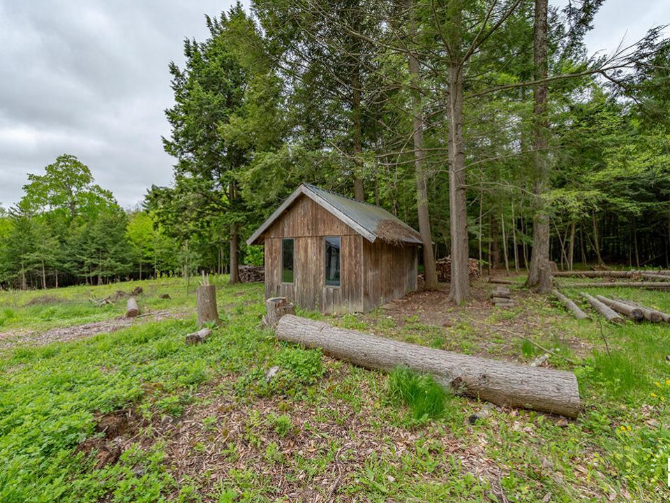 EssexHomeNestledInTheWoods_Outbuilding