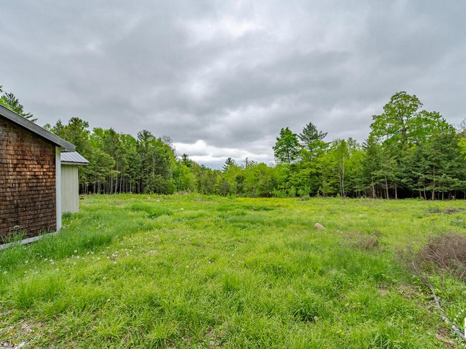 EssexHomeNestledInTheWoods_Yard