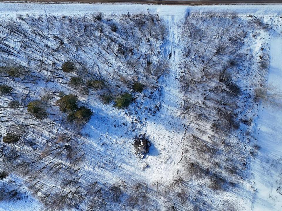 DJI_20241214125631_0013_D_Fotor DJI_20241214125631_0013_D_Fotor