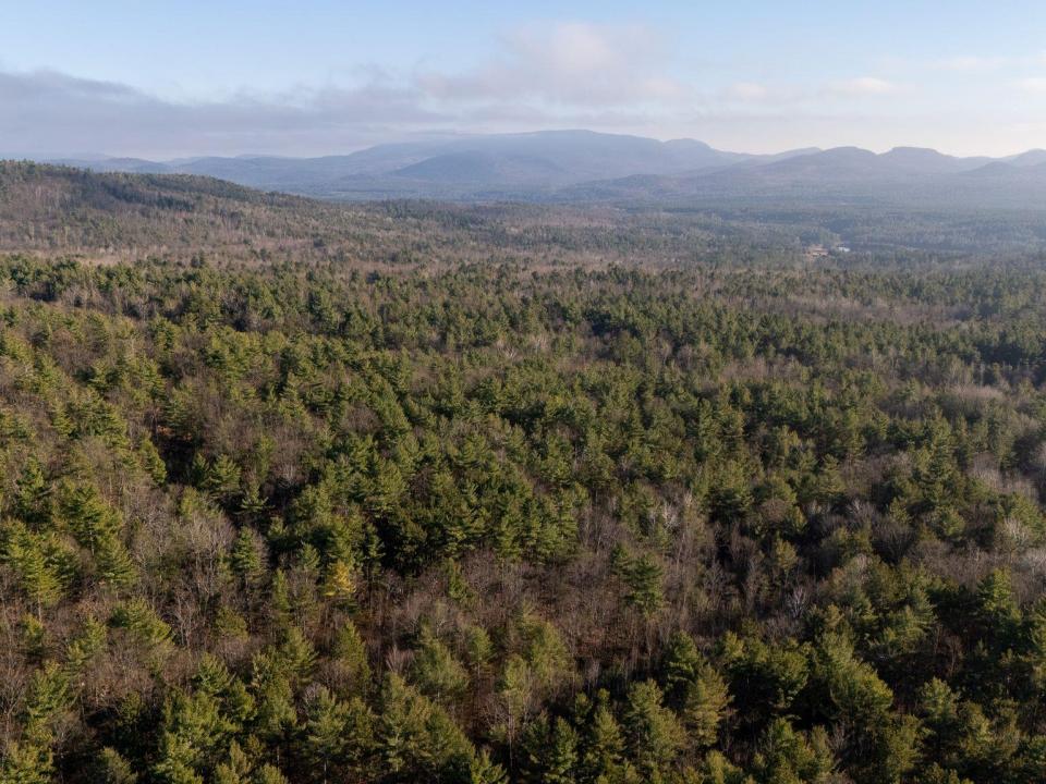 DJI_20241120141232_0405_D-2