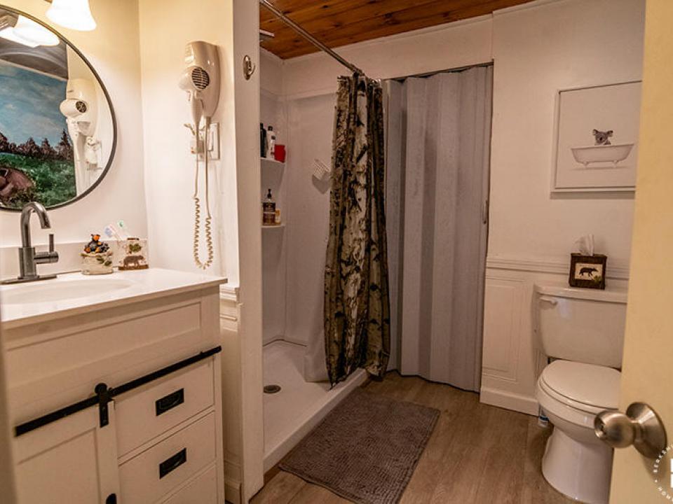 SentinelApartment_Downstairs_Bathroom2