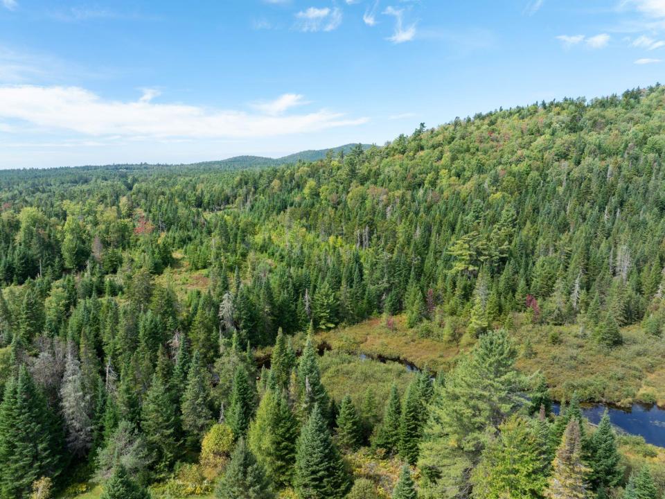 DJI_20240906131419_0330_D_JCM