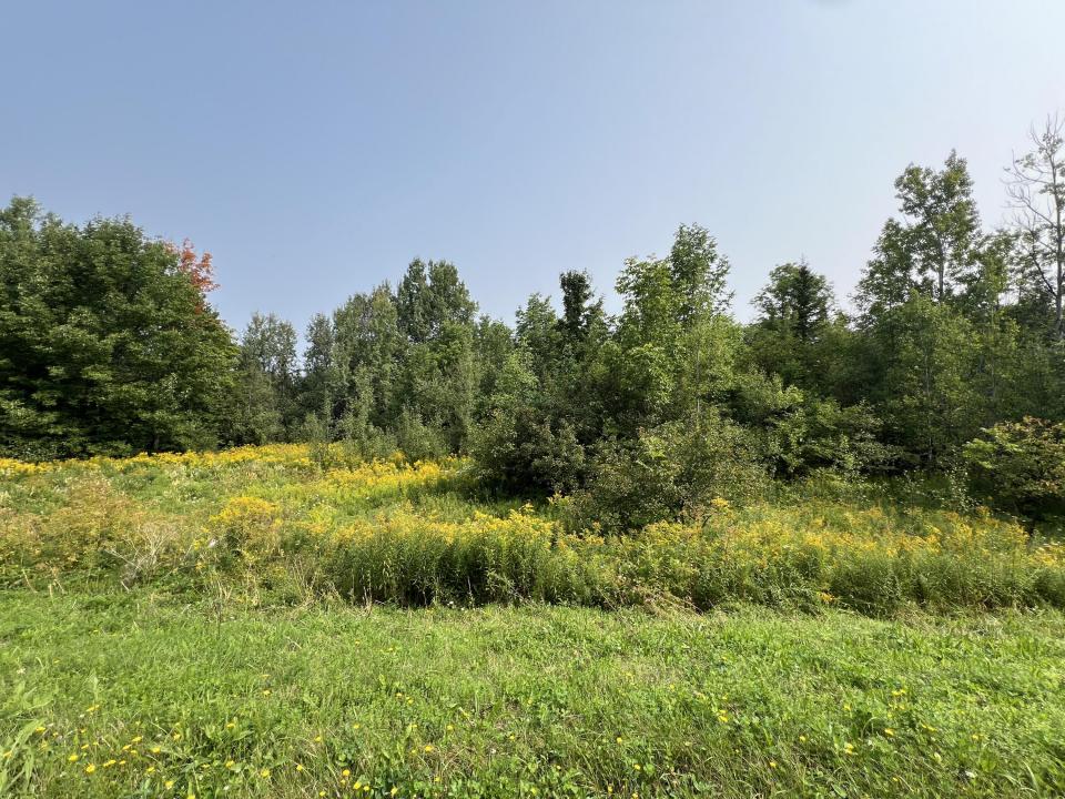 smith rd