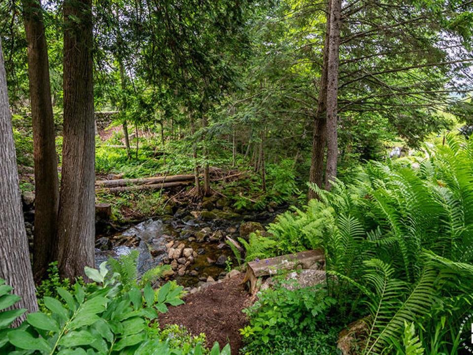 HillsideCondoWithWhitefaceMountainViews_