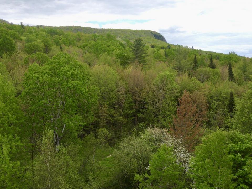 DJI_0887