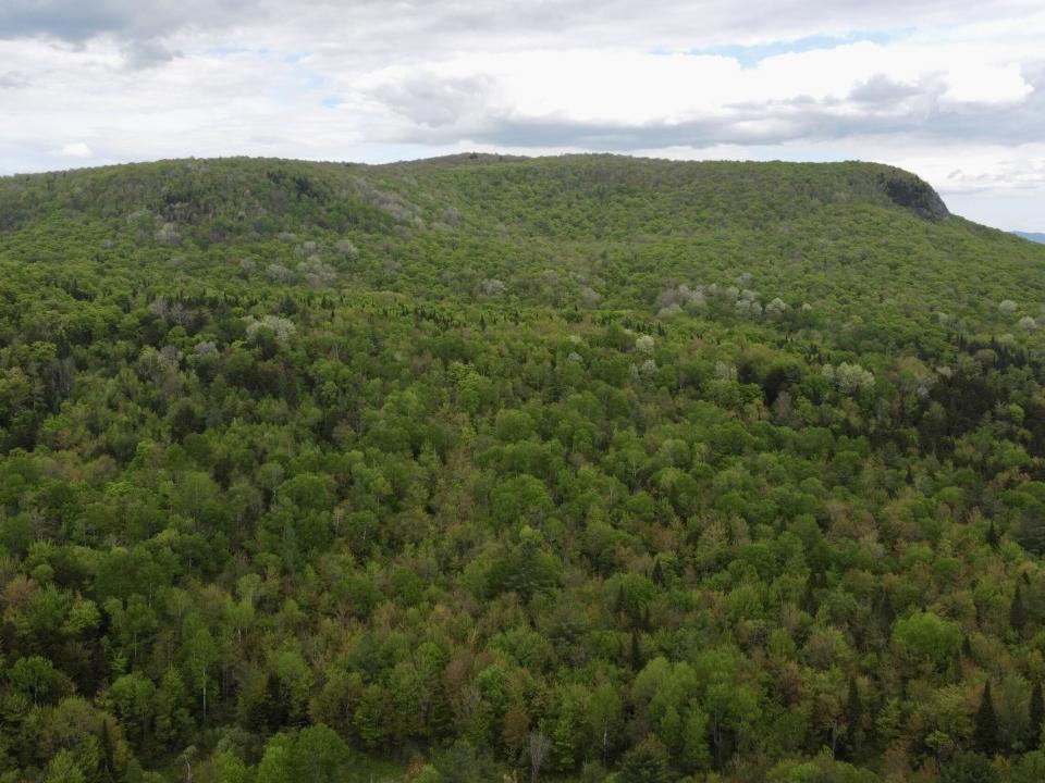 DJI_0883