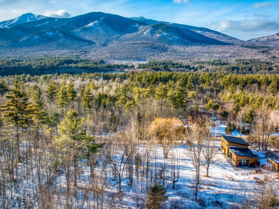 WHITEFACE VIEW l