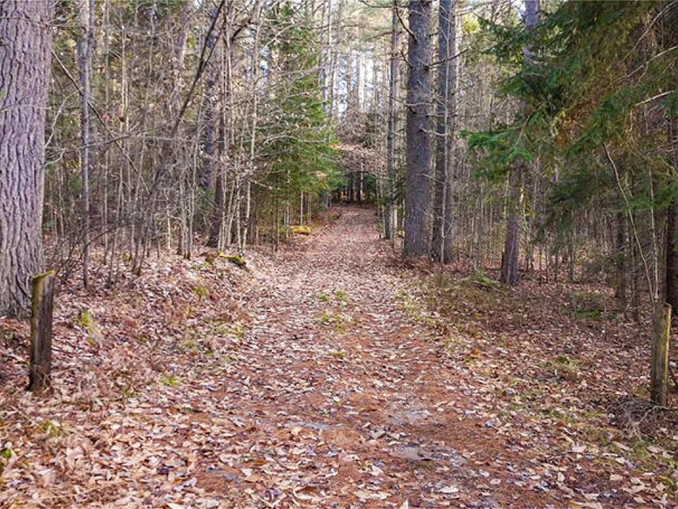 LotOnRainbowLake_Driveway